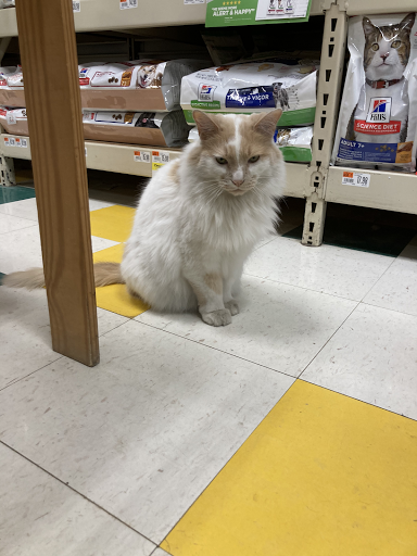 Pet Supply Store «Pet Supplies Plus», reviews and photos, 2057 S Telegraph Rd, Bloomfield Hills, MI 48302, USA