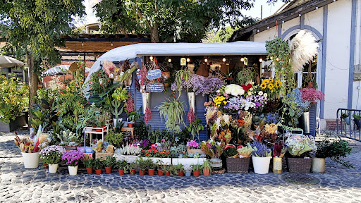 Pequeno Jardim - Flower Truck Lisbon