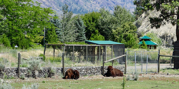 BC Wildlife Park