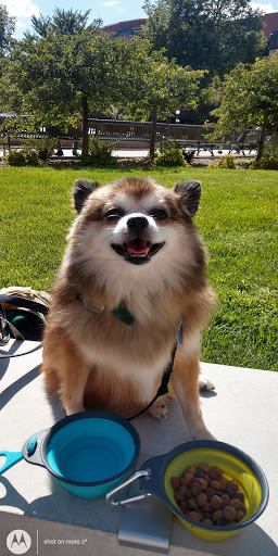 Pet Groomer «ÅSKA Pet Spa & Boutique», reviews and photos, 197 E 7th St, St Paul, MN 55101, USA