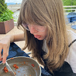 Photo n°1 de l'avis de José.a fait le 27/05/2023 à 11:02 sur le  Bad Gfrill à Gfrill