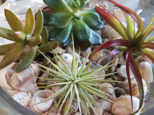 Florist «Tiger Lily Florist Inc.», reviews and photos, 131 Spring St, Charleston, SC 29403, USA