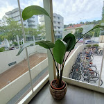 Photo n°5 de l'avis de Rosa.m fait le 15/09/2023 à 12:49 sur le  Nautilus Family Hotel à Pesaro