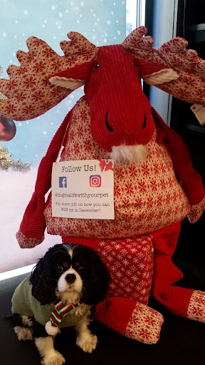 Pet Store «Dogma - Life, With Your Pet.», reviews and photos, 1719 Whetstone Way, Baltimore, MD 21230, USA