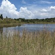Aripeka Sandhills Preserve