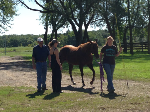 Triple Oaks Equine LLC image