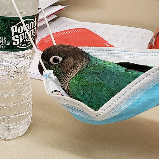 Pet Supply Store «Pet Supplies Plus», reviews and photos, 7954 Brewerton Rd #400, Cicero, NY 13039, USA