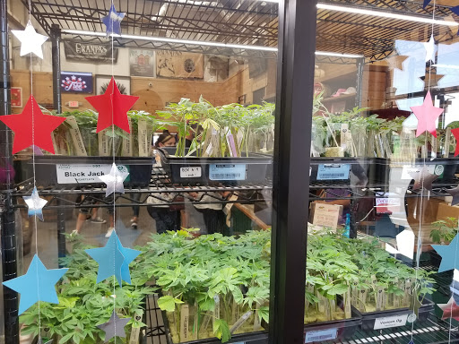 CoCo Farms Dispensary Antioch image