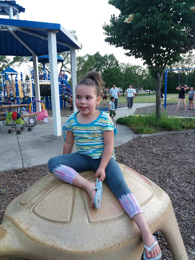 Park «Gouin Pool & Water Slides», reviews and photos, 2400 Scott St, Franklin Park, IL 60131, USA