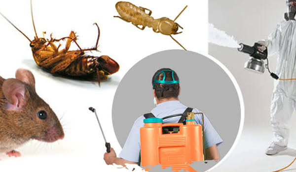 Safehom Pest Control Services