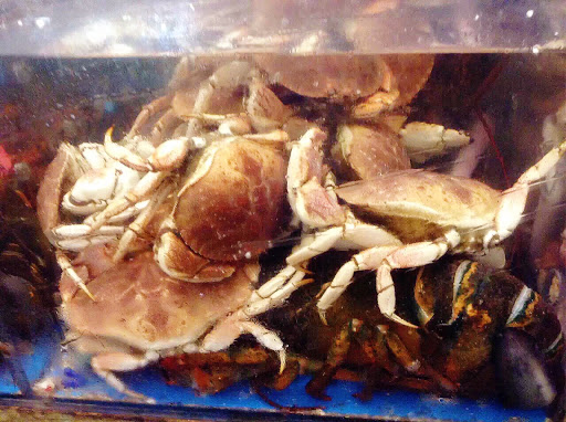 Supermarket «Oriental Supermarket», reviews and photos, 5465 I-55, Jackson, MS 39206, USA