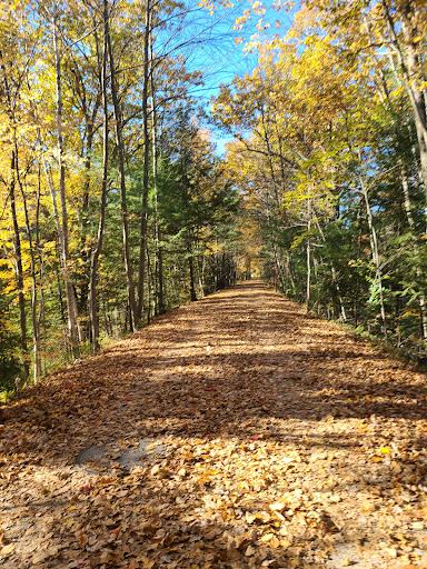Goffstown Rail Trail Parking
