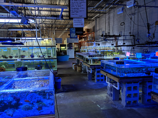 Tropical Fish Store «The Fish Store», reviews and photos, 2050 Chamblee Tucker Rd, Chamblee, GA 30341, USA