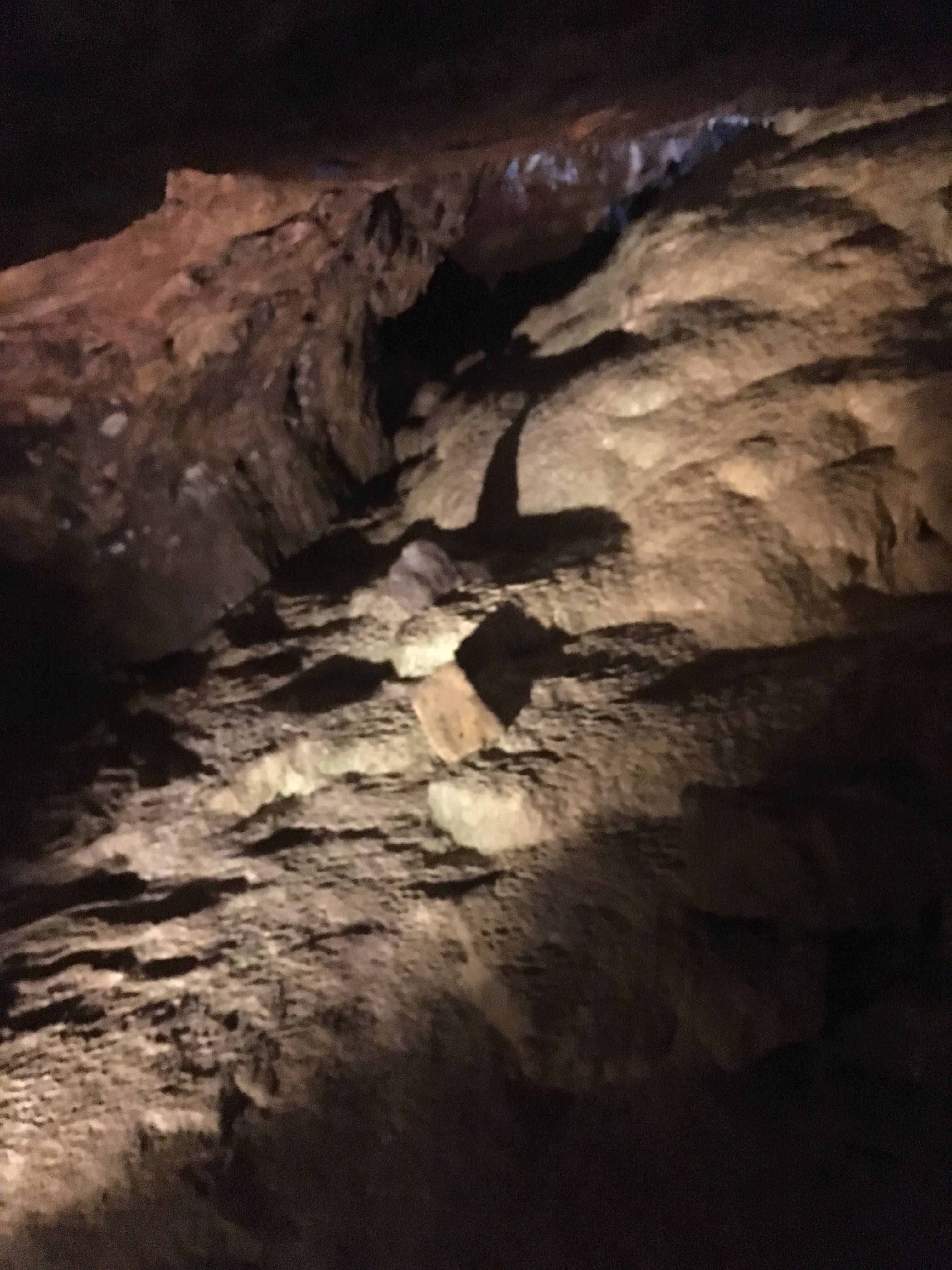 Photo n° 2 de l'avis de Sébastien.e fait le 04/08/2019 à 19:42