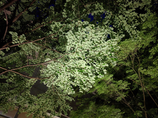 Performing Arts Theater «Benaroya Hall», reviews and photos, 200 University St, Seattle, WA 98101, USA