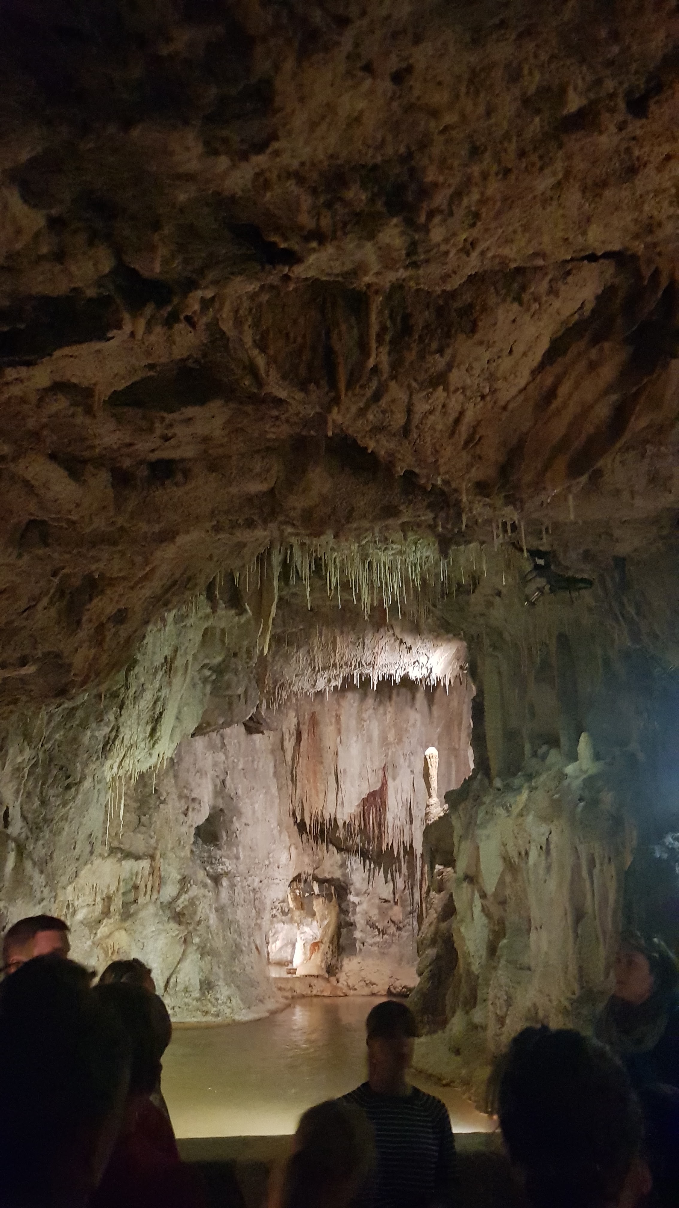 Photo n° 1 de l'avis de Ophélie.i fait le 31/07/2019 à 19:38