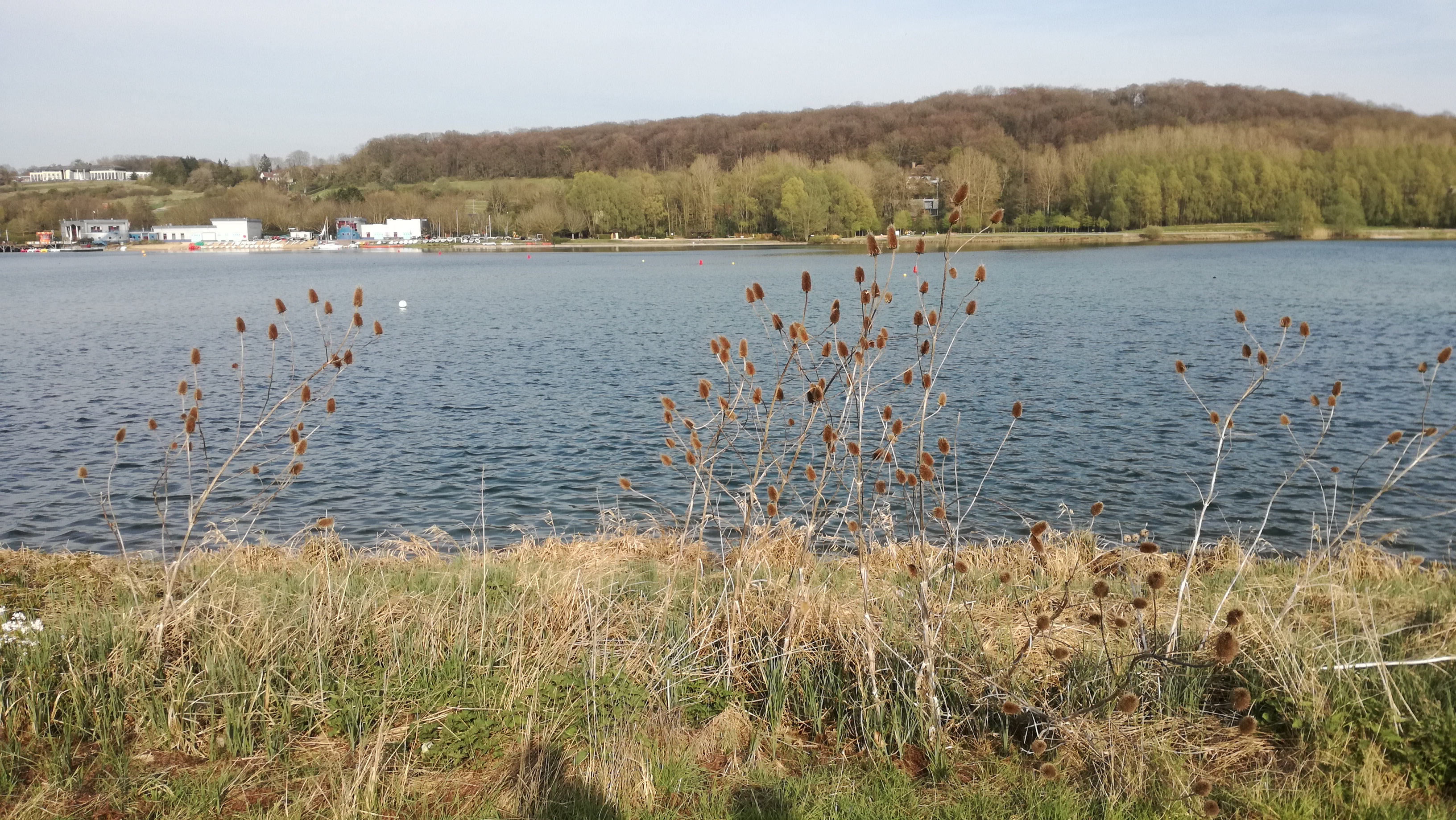 Photo n° 4 de l'avis de Raffaele.r fait le 07/08/2019 à 08:54