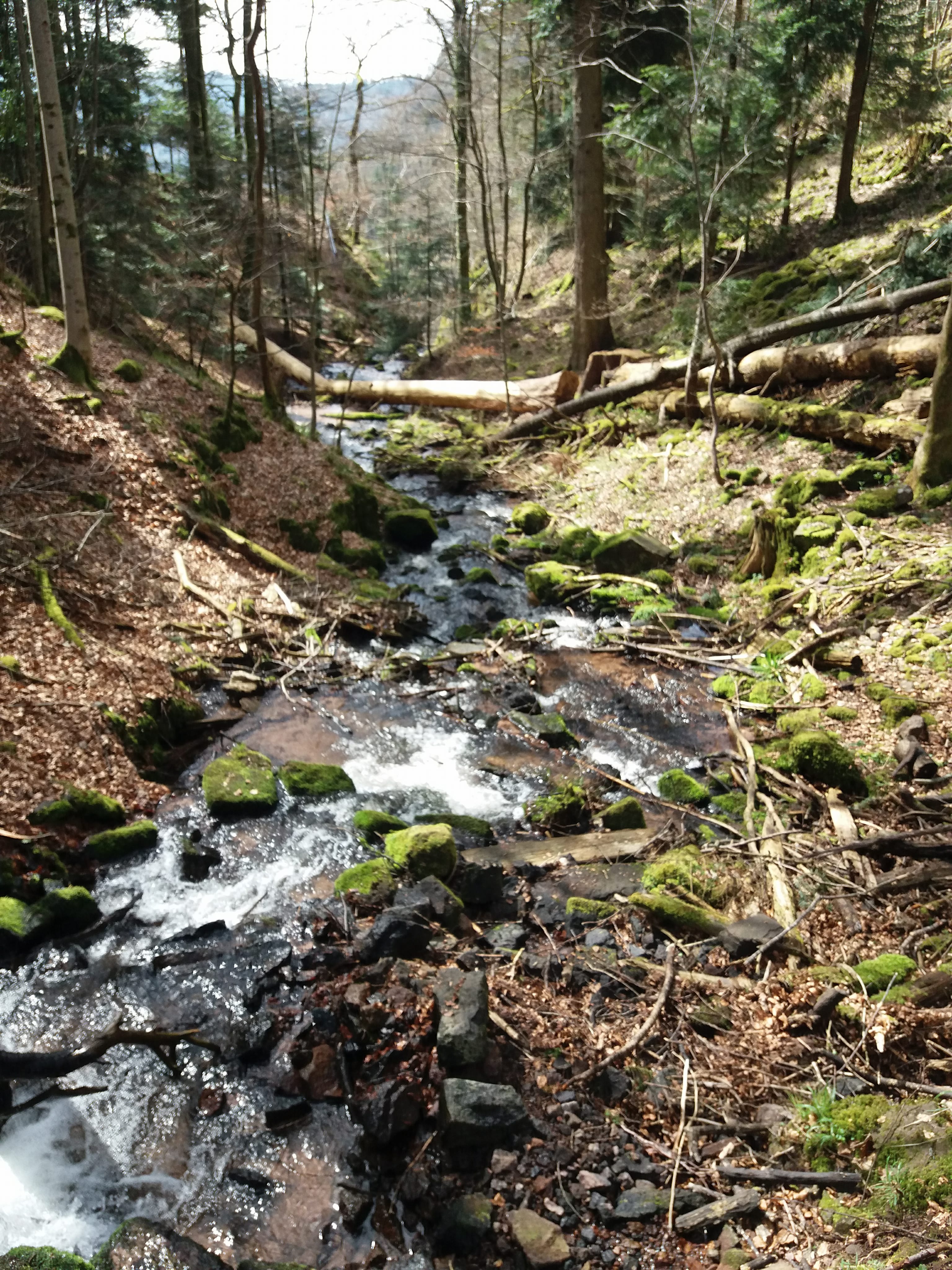 Photo n° 19 de l'avis de yann.a fait le 12/04/2018 à 05:08