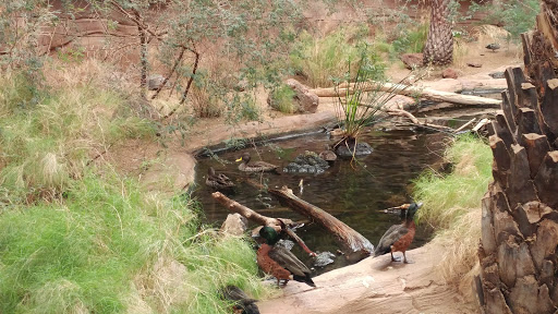 Zoo «Desert Dome & Kingdoms of the Night», reviews and photos, 3701 S 10th St, Omaha, NE 68108, USA