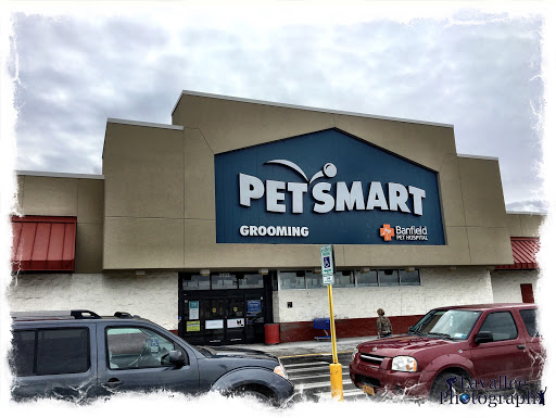 Pet Supply Store «PetSmart», reviews and photos, 3132 Vestal Pkwy E, Vestal, NY 13850, USA
