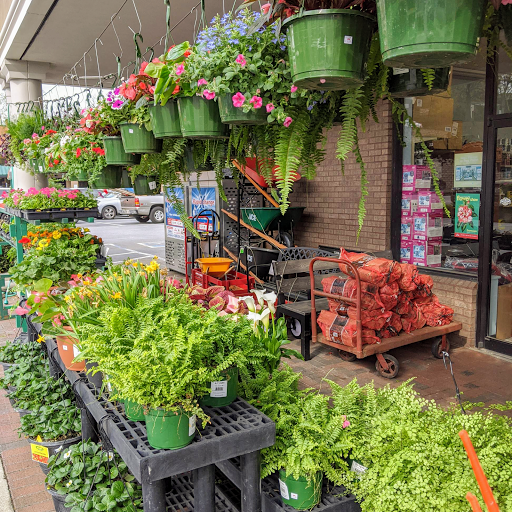 Hardware Store «Workbench Ace Hardware», reviews and photos, 4365 Roswell Rd NE, Atlanta, GA 30342, USA