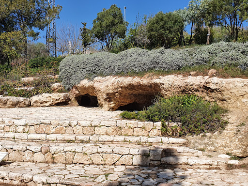 הגן הבוטני של האוניברסיטה העברית בהר הצופים