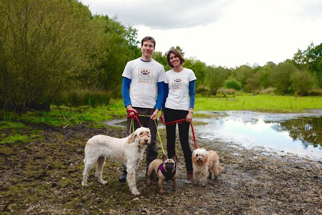 Reviews of Alphabet Dog Walking in London - Dog trainer