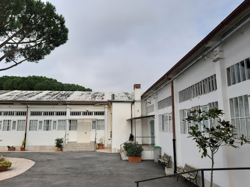 Istituto Buddista Italiano Soka Gakkai