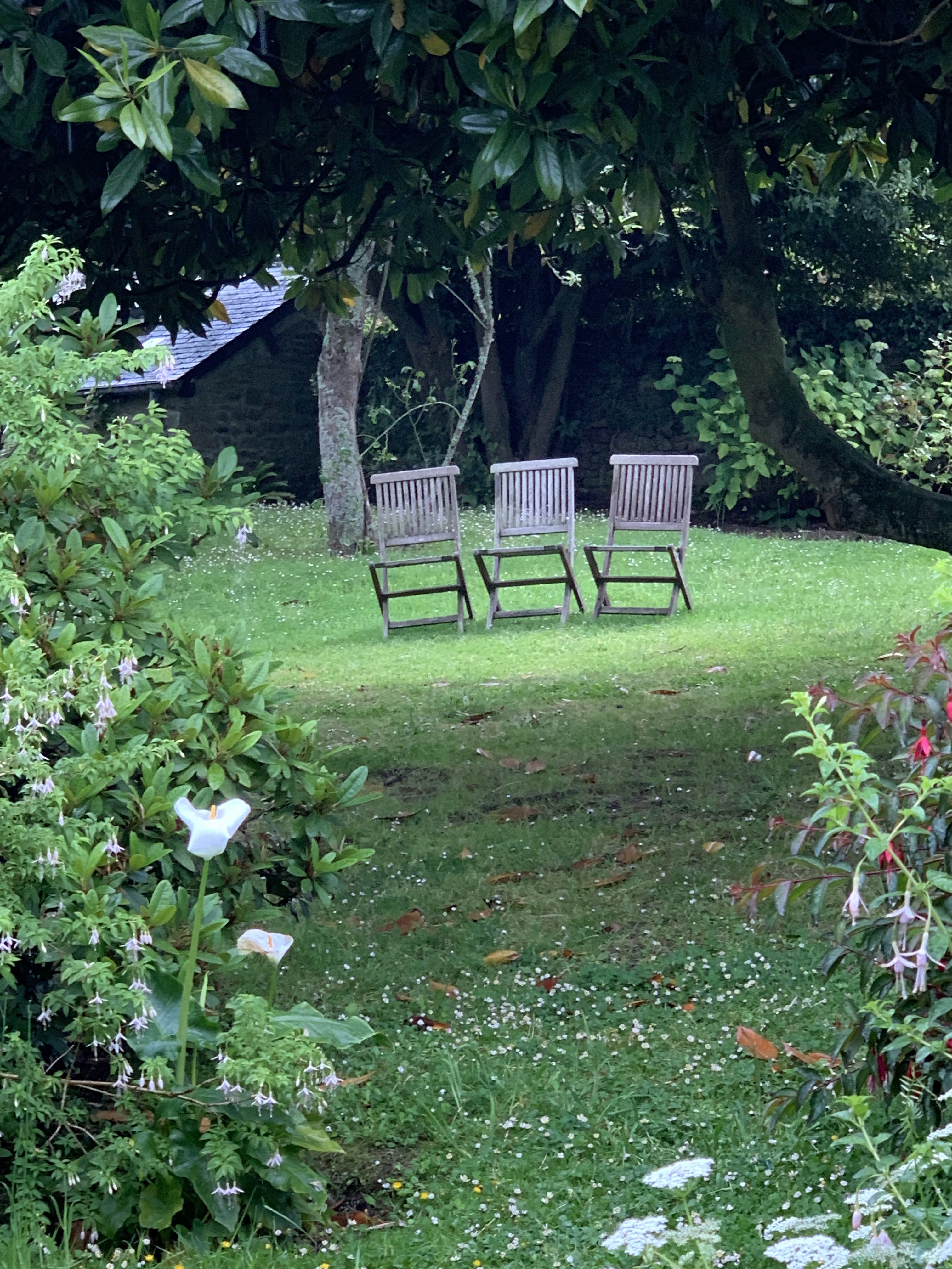 Photo n° 1 de l'avis de Didier.u fait le 04/07/2019 à 14:59