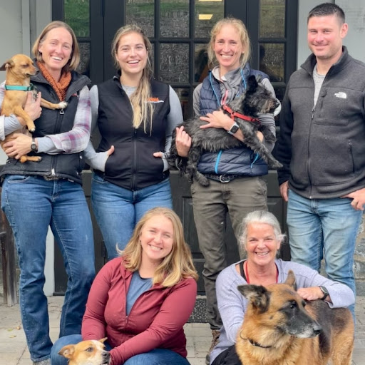 All Horses Great and Small image