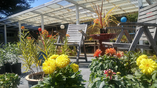 Florist «The Natural Nook Flower Shop», reviews and photos, 738 Pacific Way, Gearhart, OR 97138, USA