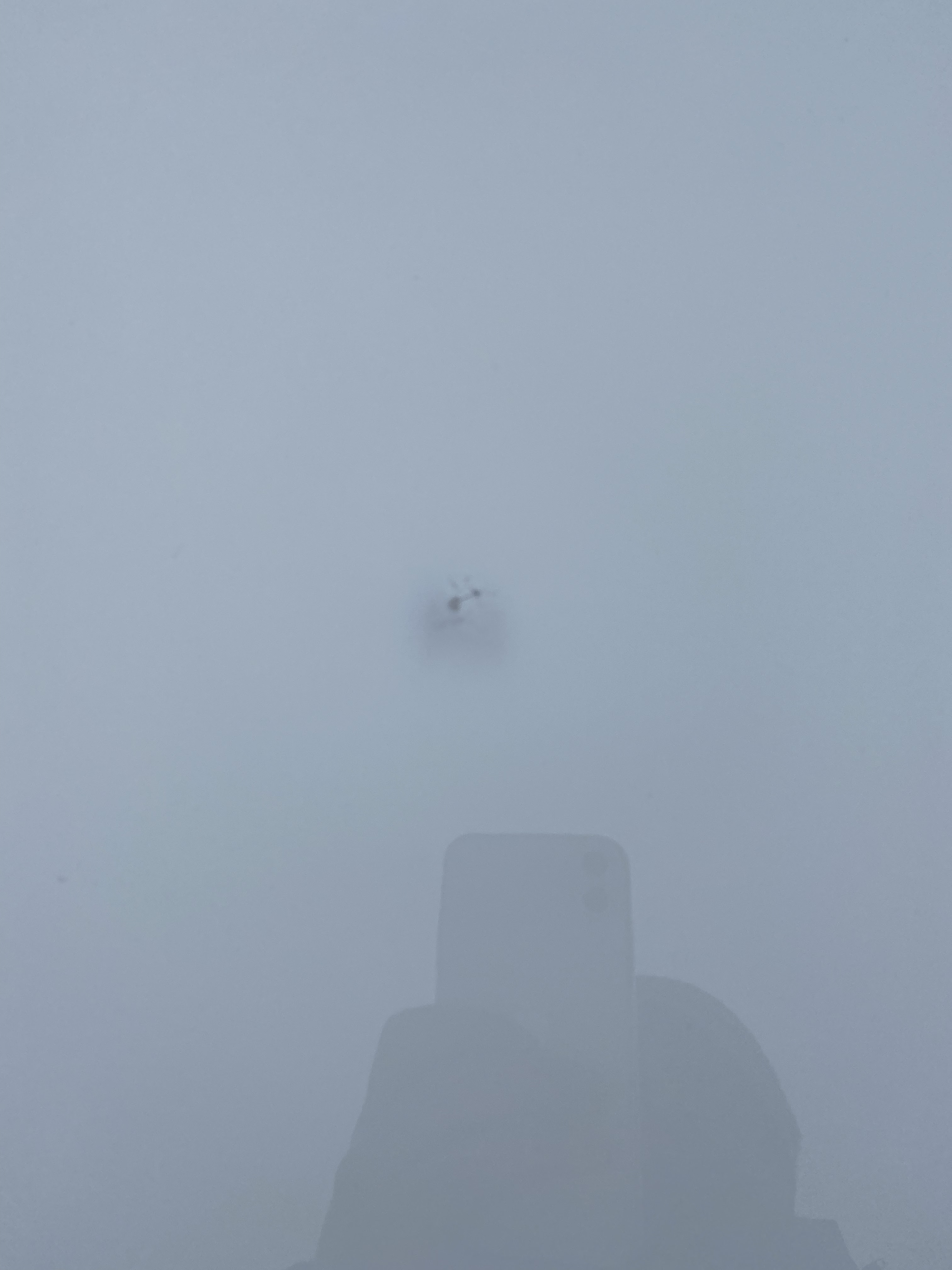 Photo n° 2 de l'avis de P.y fait le 17/01/2022 à 17:54