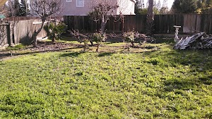 Stonegate Park - photo 12