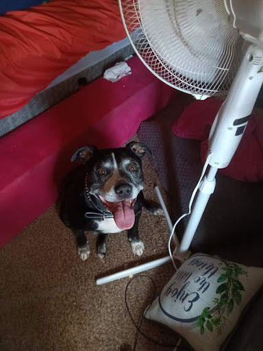 Explore mens sleeve tattoos ideas, creative tattoo ideas in Albuquerque, available at Mijos Tattoos & Piercing