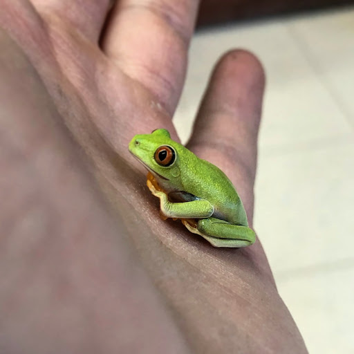 Pet Store «Gills And Thrills Pet Shop», reviews and photos, 204 E 8th St, Lockport, IL 60441, USA