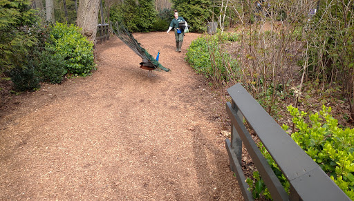 Zoo «Prospect Park Zoo», reviews and photos, 450 Flatbush Ave, Brooklyn, NY 11225, USA