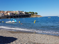Foto von Banyuls sur Mer beach mit geräumige bucht