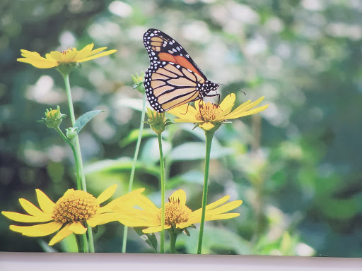 Community Center «North Laurel Community Center», reviews and photos, 9411 Whiskey Bottom Rd, Laurel, MD 20723, USA