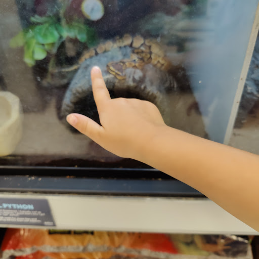 Pet Supply Store «Petco Animal Supplies», reviews and photos, 25 Hazard Ave, Enfield, CT 06082, USA