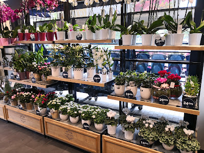 MONCEAU FLEURS à Thionville