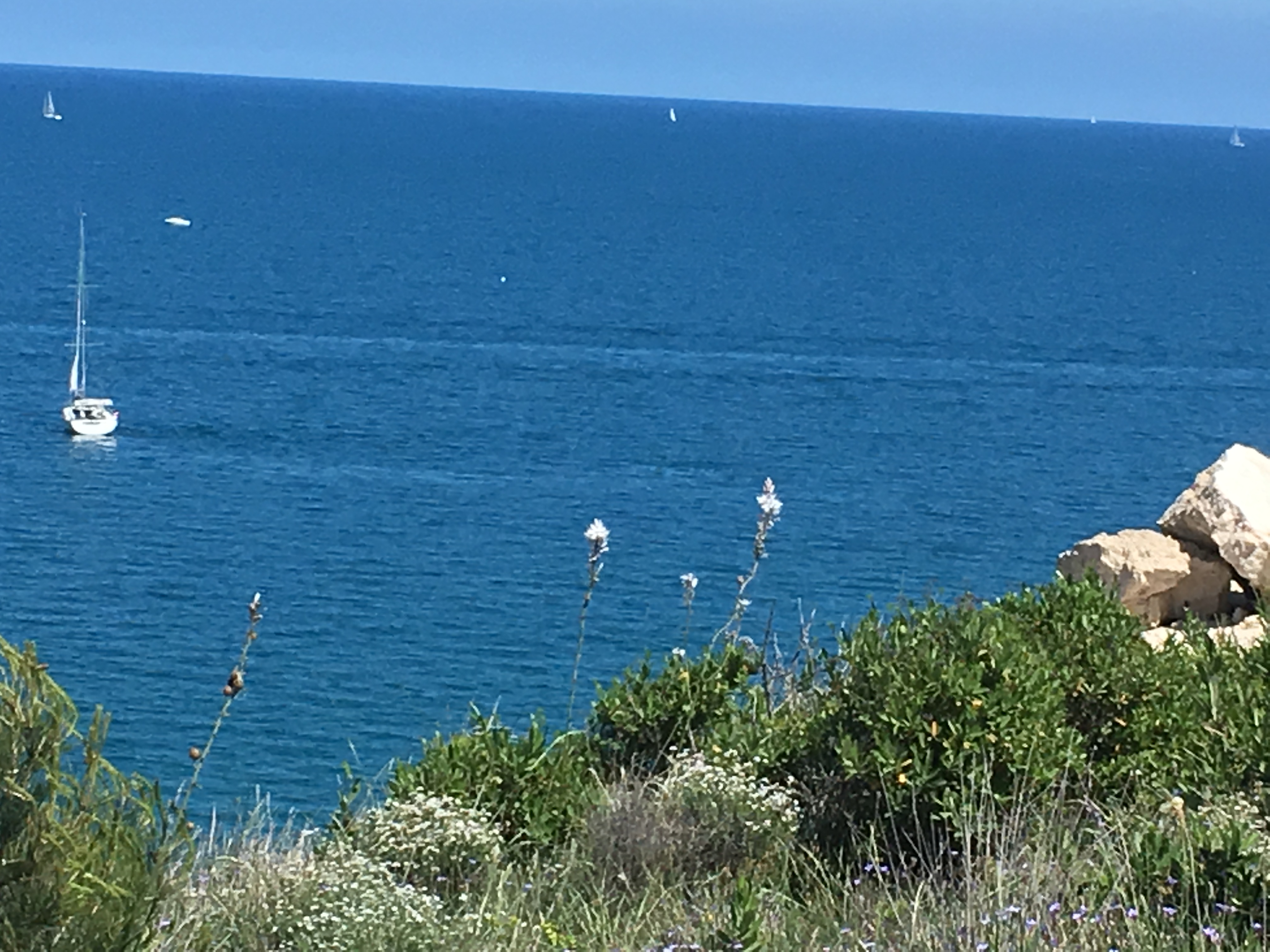 Photo n° 5 de l'avis de Thierry.r fait le 26/07/2018 à 19:18