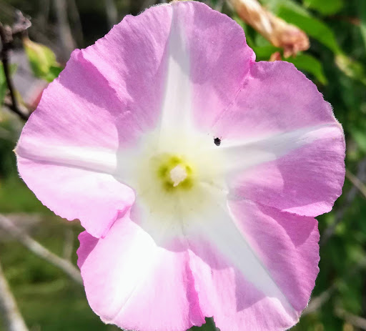 Nature Preserve «Audubon Greenwich», reviews and photos, 613 Riversville Rd, Greenwich, CT 06831, USA