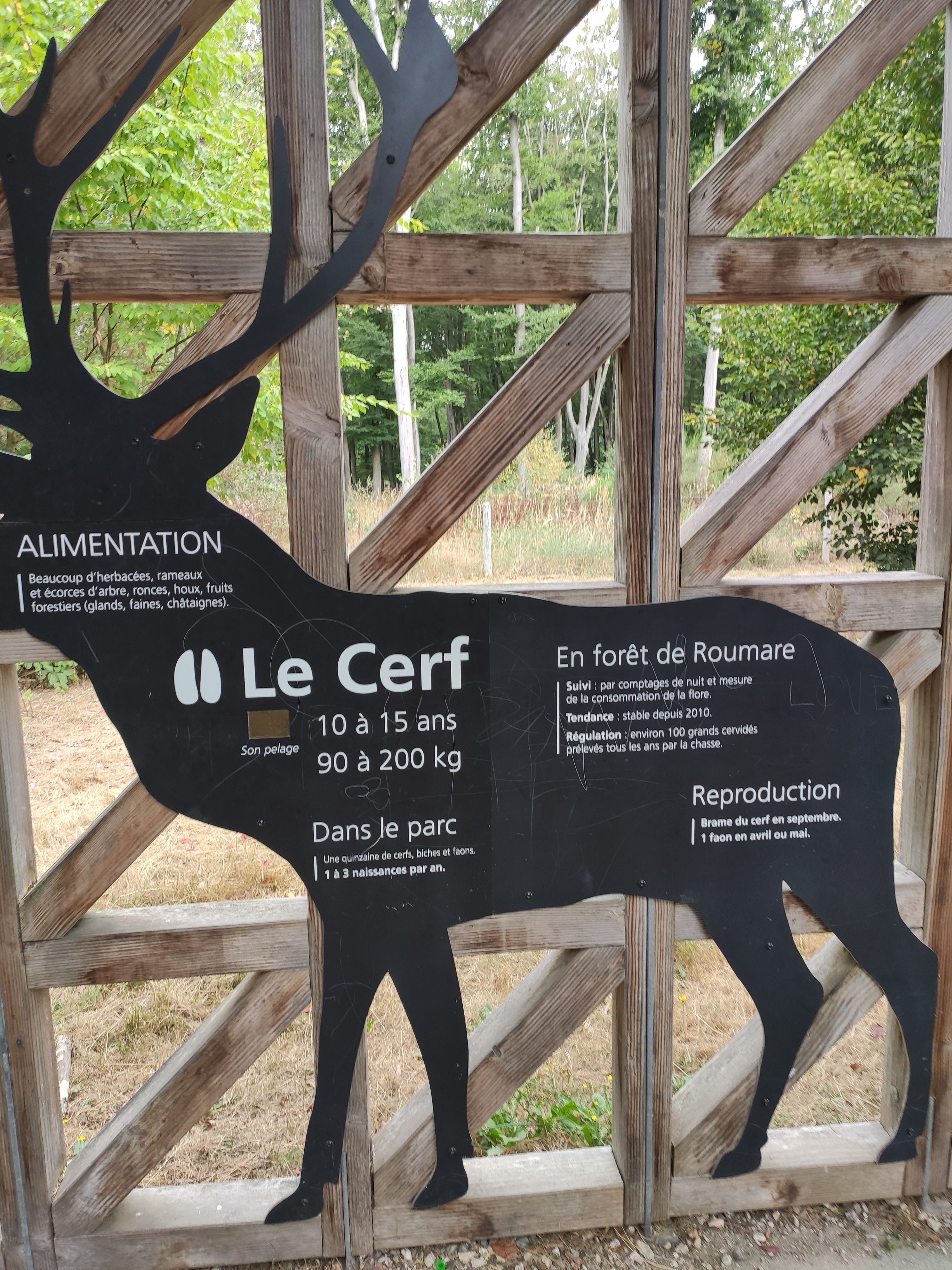 Photo n° 3 de l'avis de LAMBERT.r fait le 16/08/2022 à 19:17