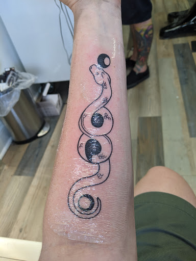 Art Gallery «Oddity Tattoo Studio & Gallery», reviews and photos, 1778 Main St, Sarasota, FL 34236, USA