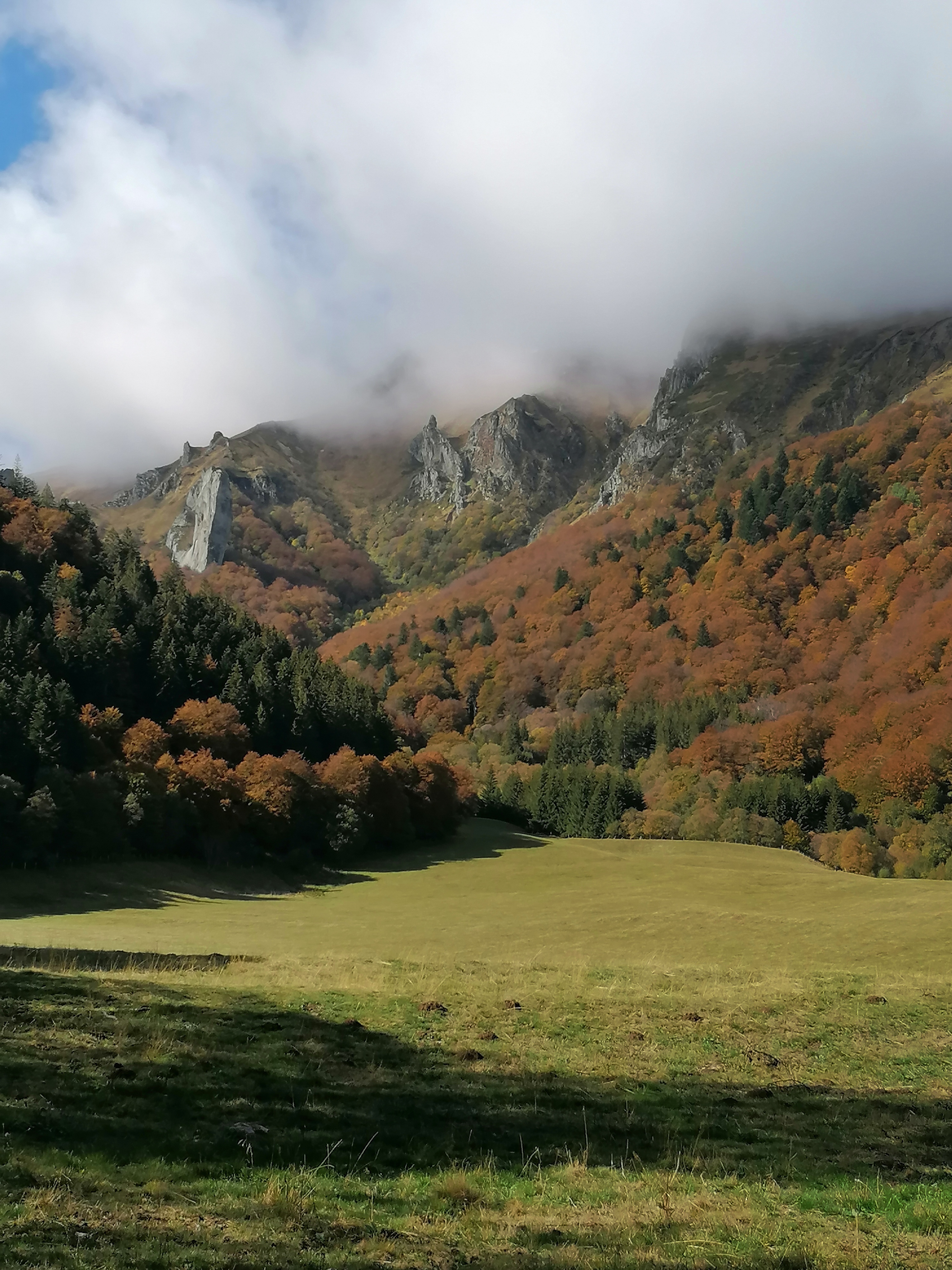 Photo n° 22 de l'avis de trucs.t fait le 12/05/2021 à 11:16