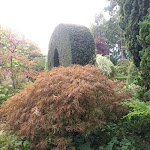 Photo n° 37 de l'avis de daniel.a fait le 18/09/2023 à 07:58 pour Jardin Floral du Château de Digeon à Morvillers-Saint-Saturnin