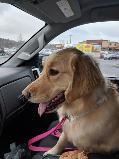 Pet Supply Store «Pet Supplies Plus», reviews and photos, 585 Moseley Rd, Fairport, NY 14450, USA