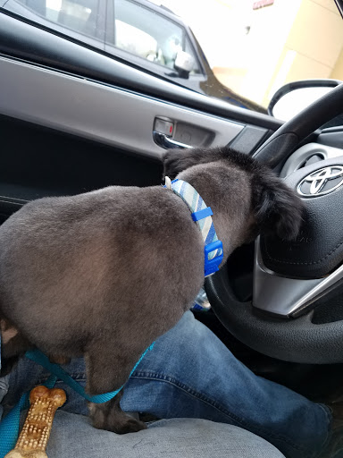 Pet Supply Store «PetSmart», reviews and photos, 1630 13th Ave E, West Fargo, ND 58078, USA