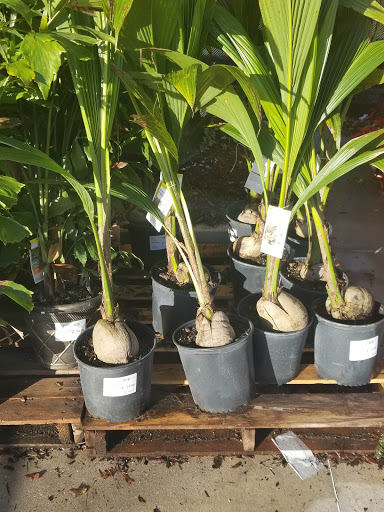 Home Improvement Store «The Home Depot», reviews and photos, 2508 Skyline Blvd, Cape Coral, FL 33914, USA