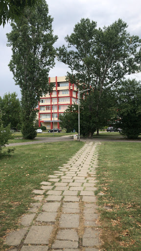ТУ - София | Стопански Факултет